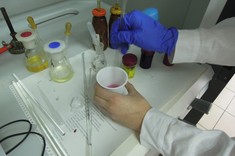 Polimery wokół nas 