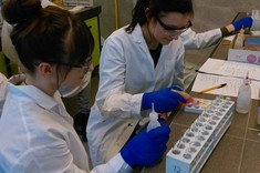 Rozdzielanie barwników 