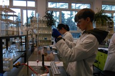 Rozdzielanie barwników 