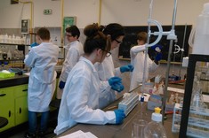 Rozdzielanie barwników 